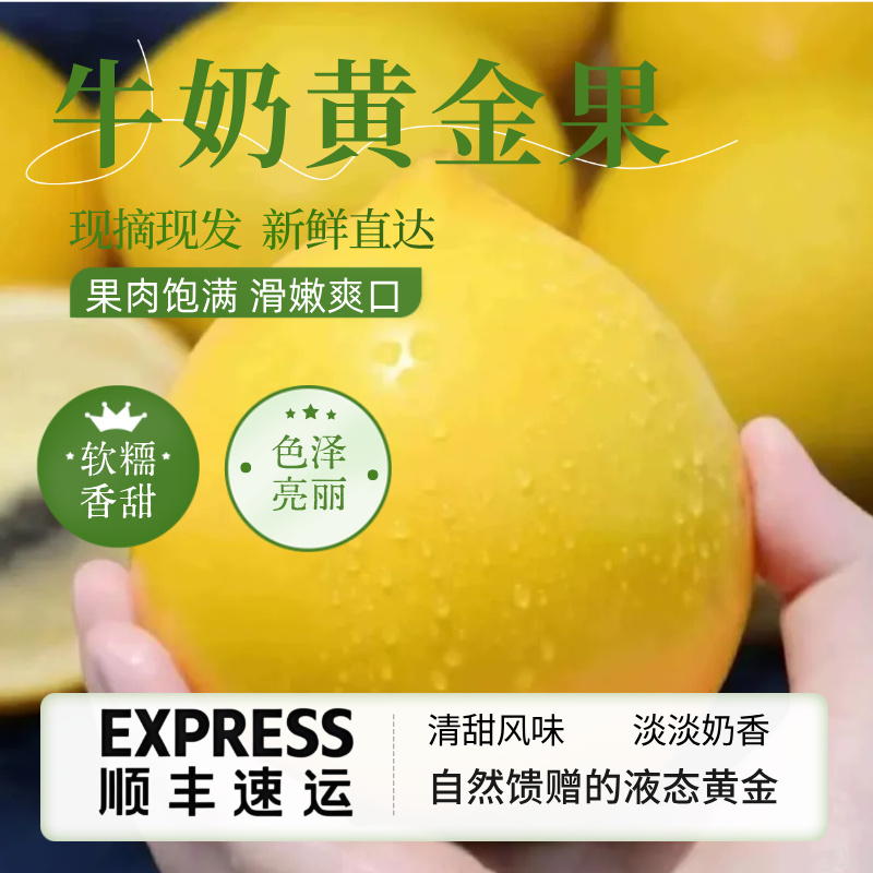 云南西双版纳热带稀奇A级黄晶牛奶果新鲜采摘软糥香甜多汁甜