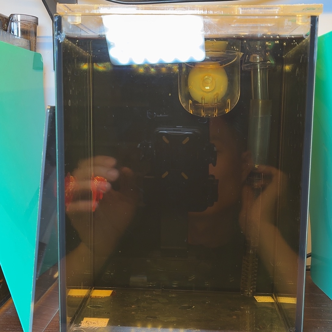 斗鱼彩金将军公鱼