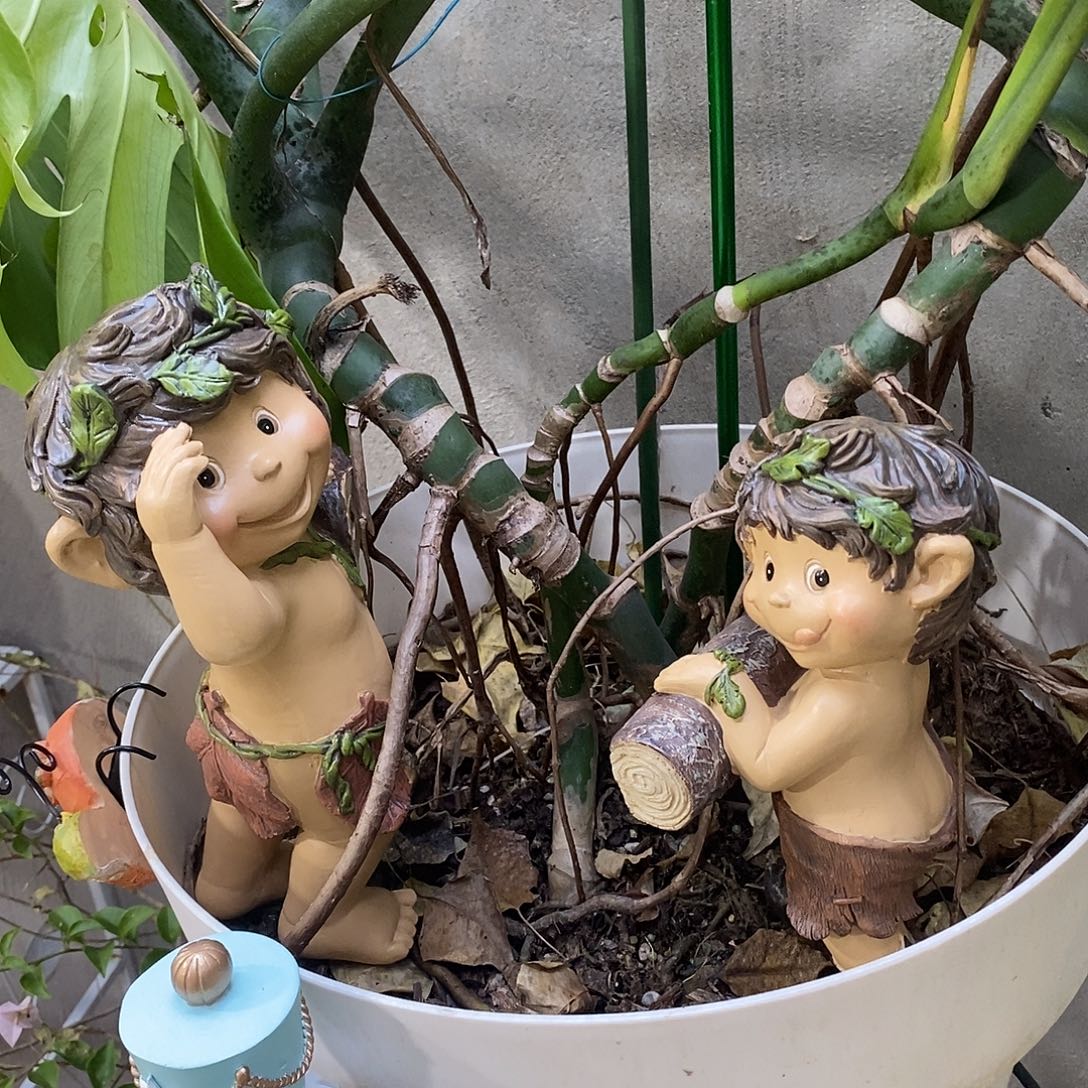 有机玻璃非洲兄弟