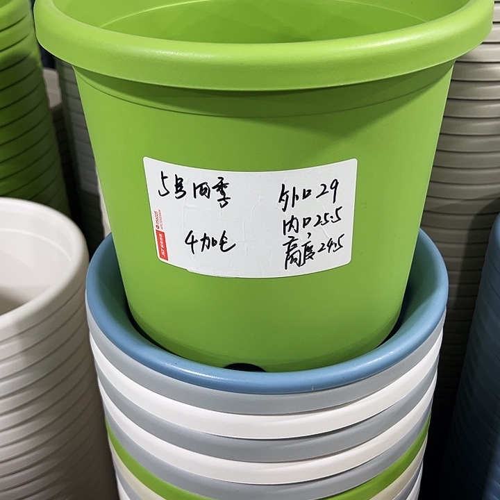 特价5好死口29高24果绿色无托10只