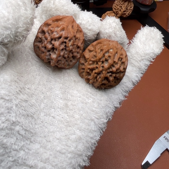 乐***唯木质类秦核等人在此处进行过多次大规模