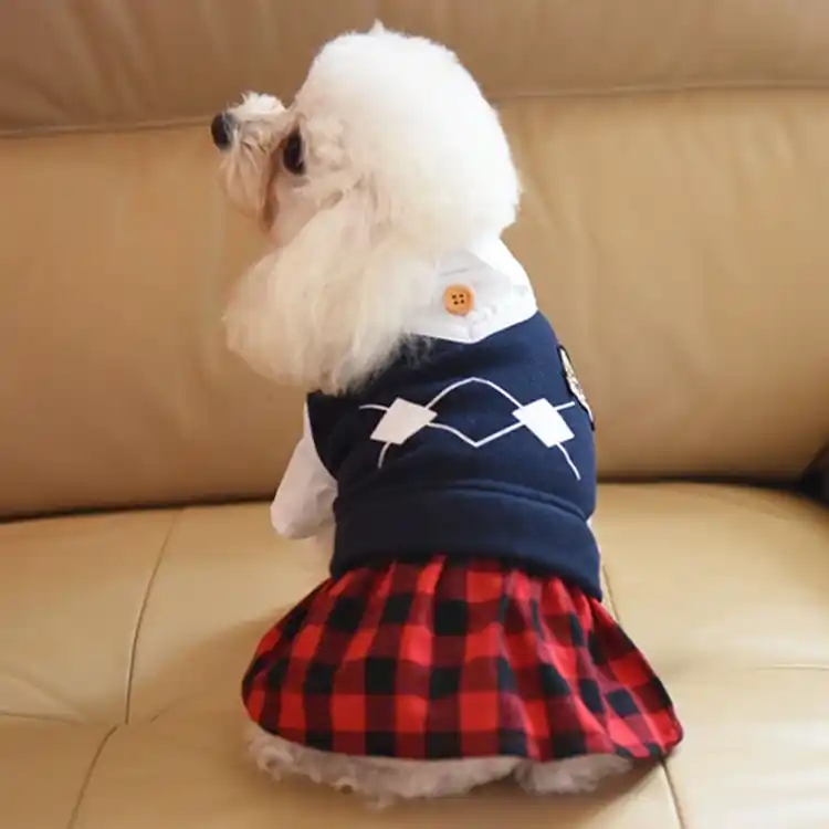 猫狗通用春夏秋款衣服（NO退NO换）无运费险