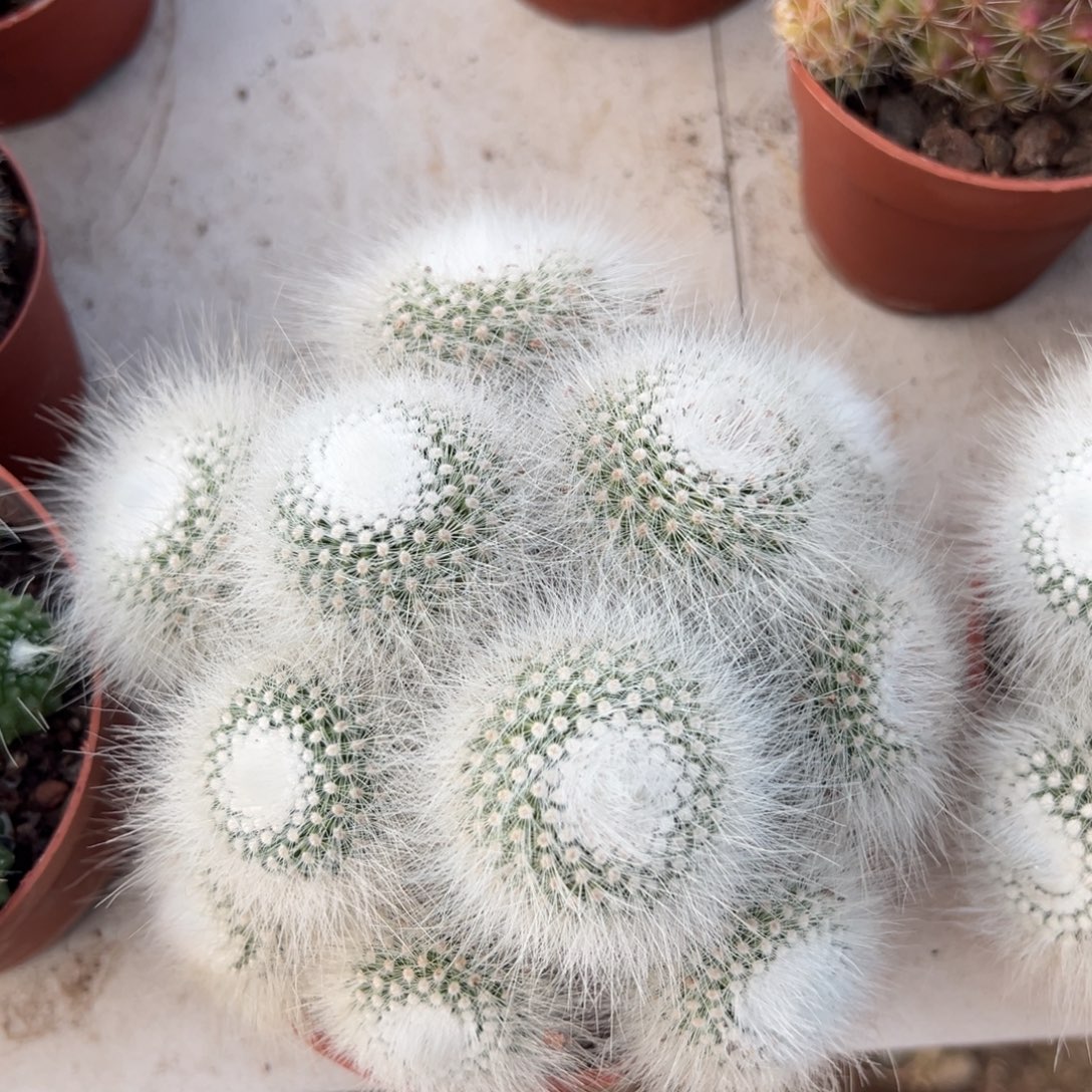 幽***子零零落落 零零落落