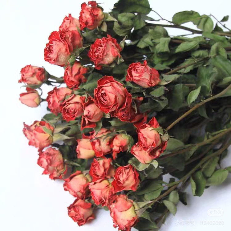 哪吒【惊艳玫瑰泡泡】能保留原有的花色！泡泡生日广志送给美伢的花