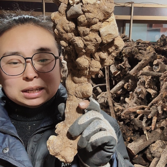 香榧木名****。火琉璃的毛料摆件