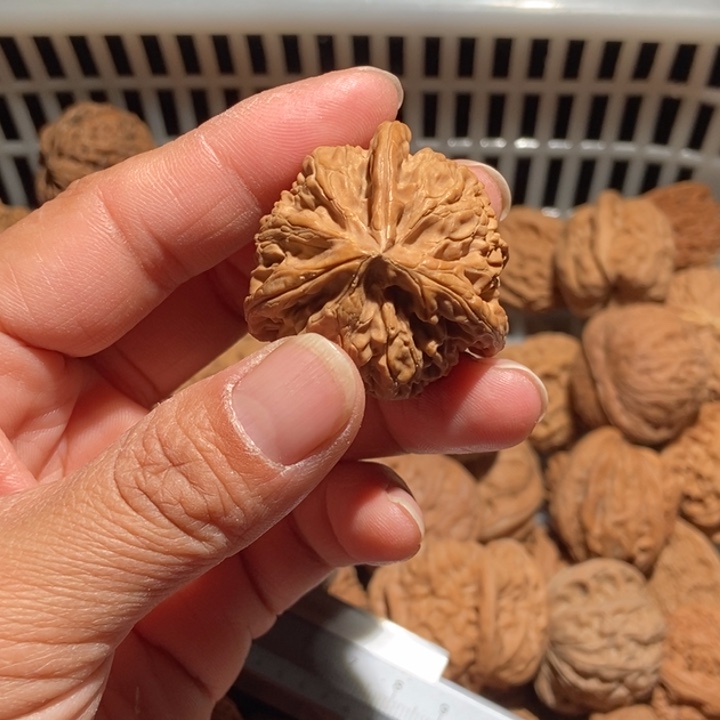 钱****核桃宫灯三棱尺寸38微黄