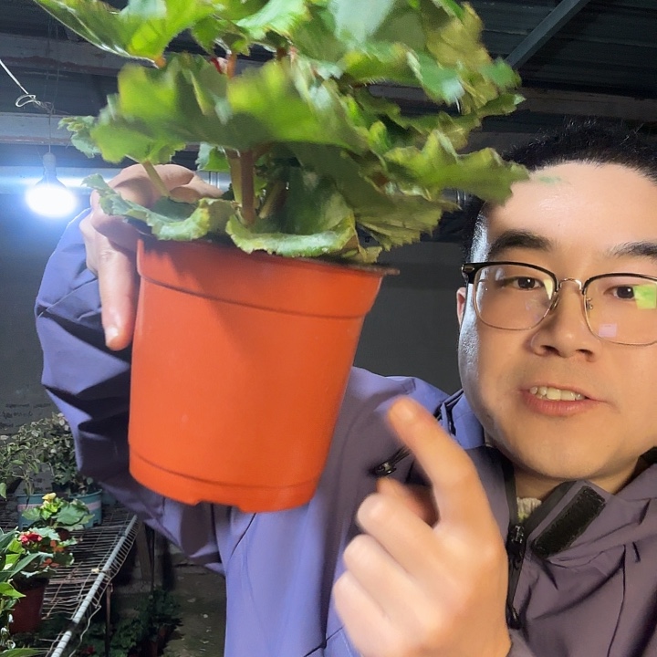 美***完全开放中国红➕保温