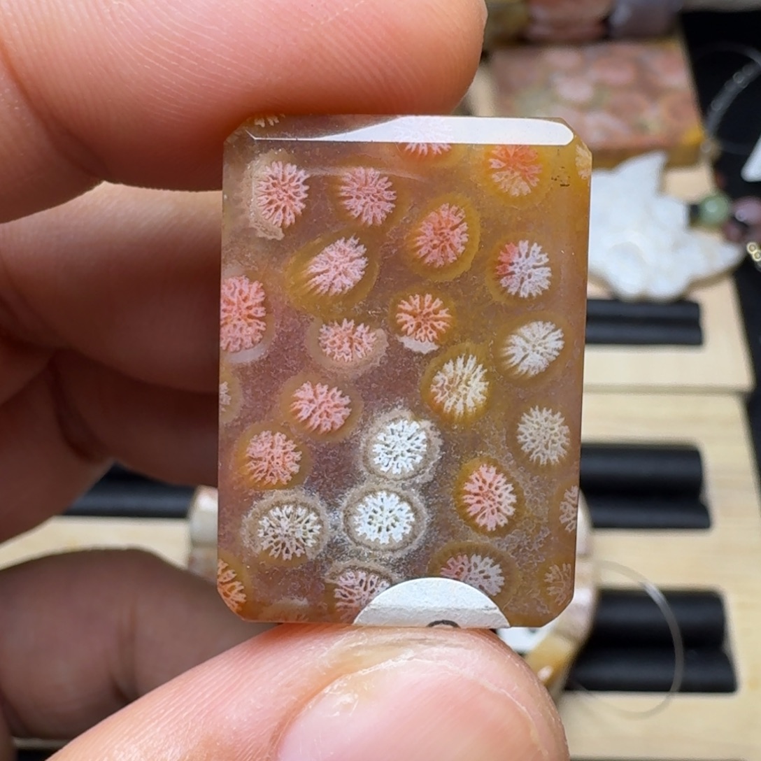 未镶嵌纯天然色有机玉石保真色硅化玉