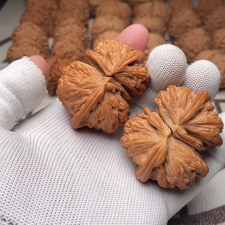 和***通把件文玩核桃白狮子连体