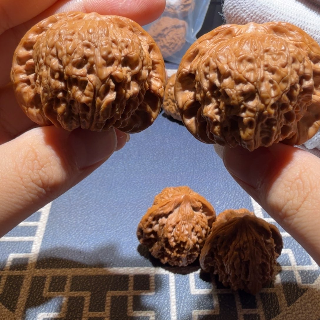 请***秀文玩核桃把件血麒麟