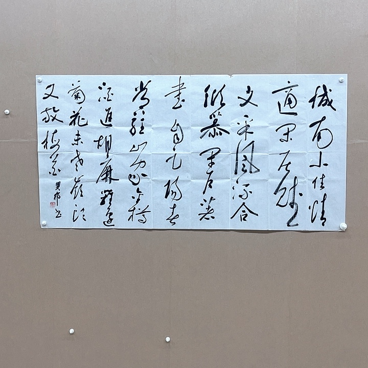 书法沈兴邦138*68㎝浙江桐庐