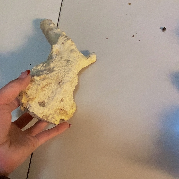 云***师黄杨木等多种木材