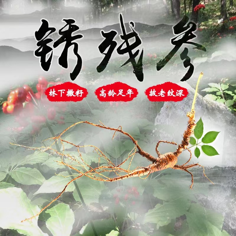 小乔精选长白山鲜参林下参残锈参可煲汤泡酒打粉晒干现场专拍链接