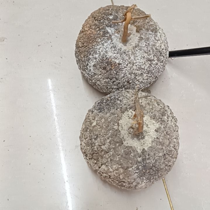 8****凡满天星疙瘩葫芦满天星疙瘩葫芦！！