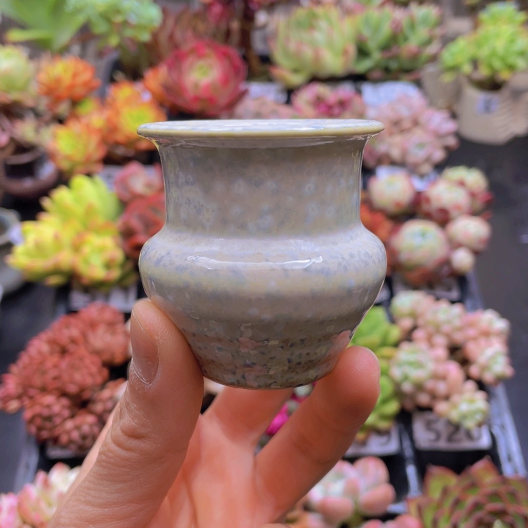 花器花器花器花器花器