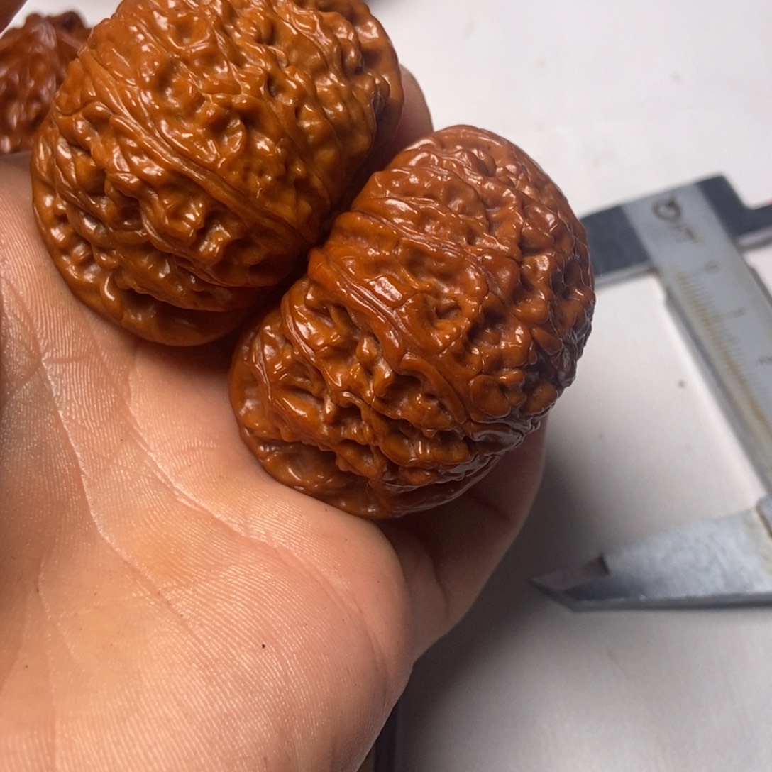 大叶紫檀（黑酸枝木类）