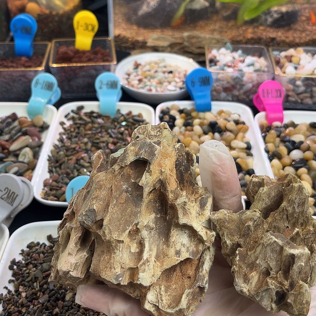 纯天然的松皮石3个