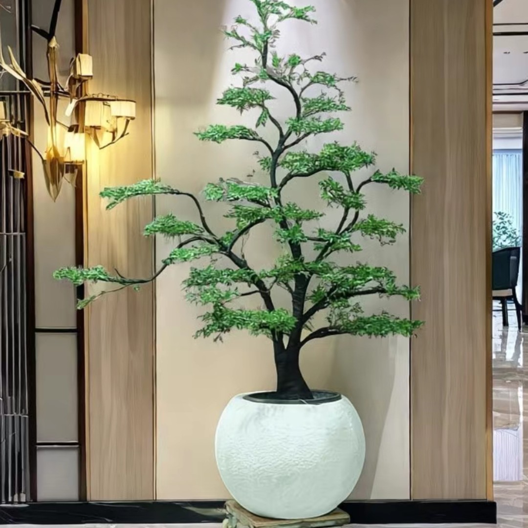 小叶紫檀，图片仅供参考，独杆棒棒糖，不送保温冻死不赔