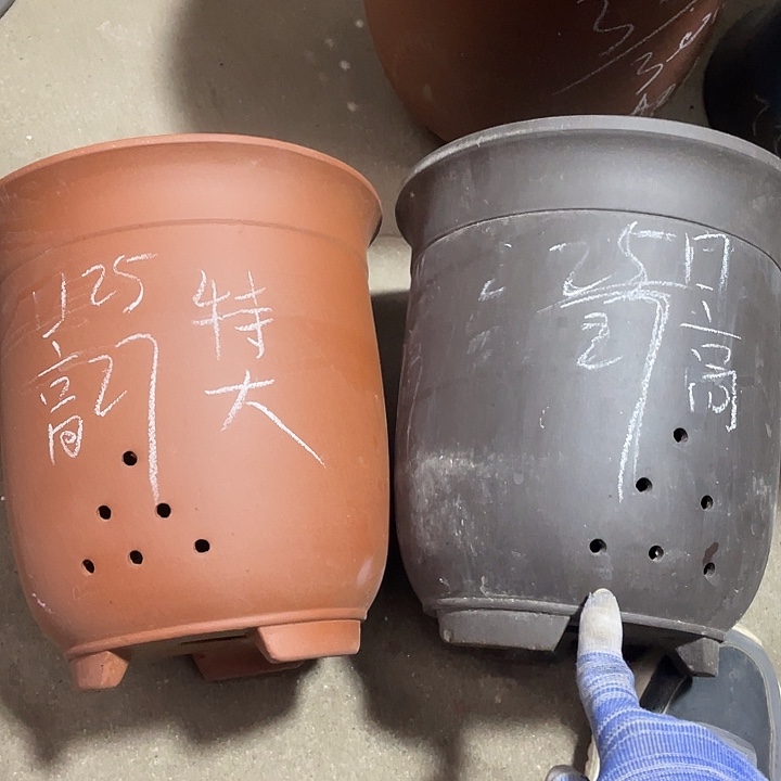 红陶紫砂紫砂紫砂