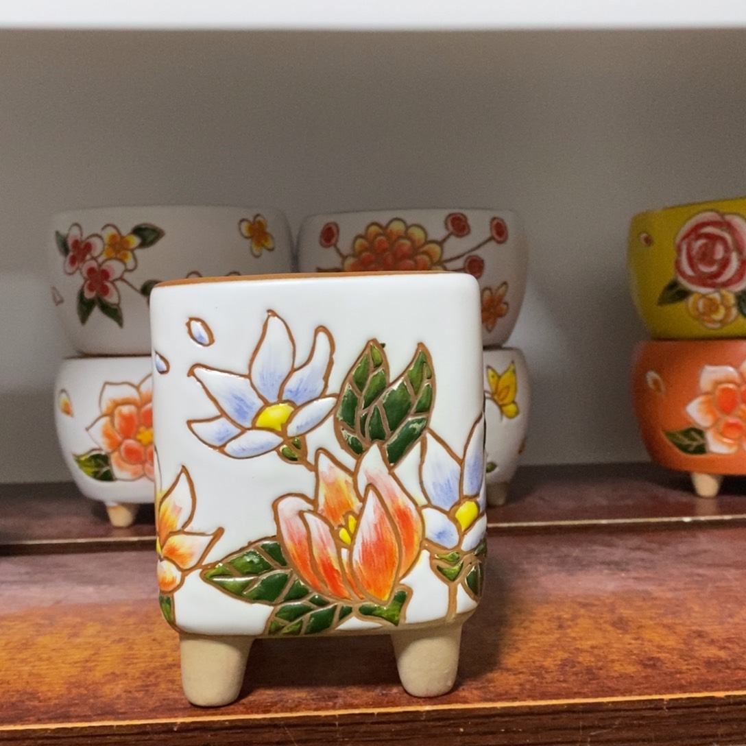 韩式多肉植物花盆