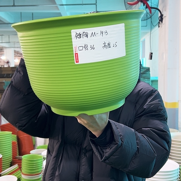 正品矮陶口36高25果绿无托3只