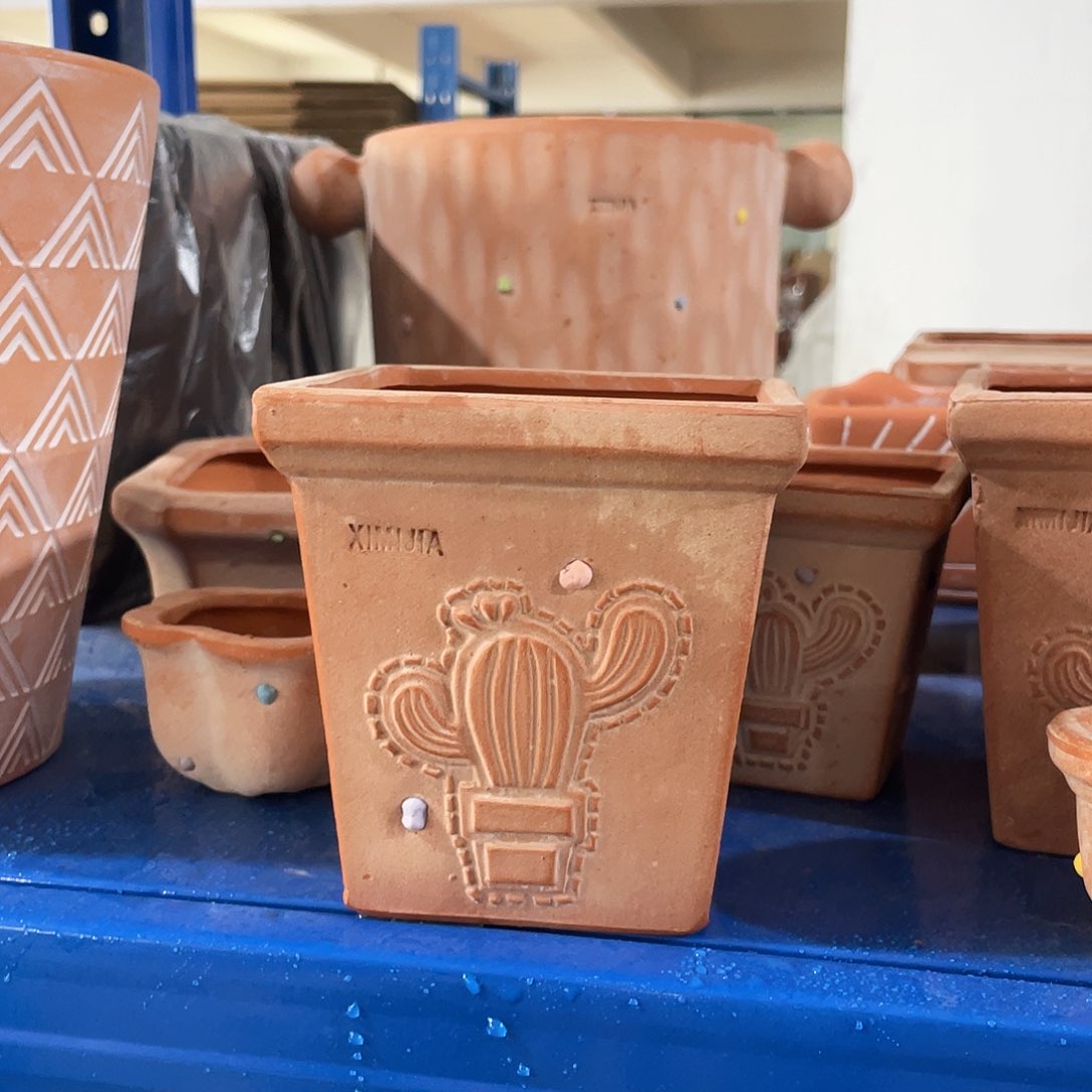 红陶口10两个仙人掌c c d d