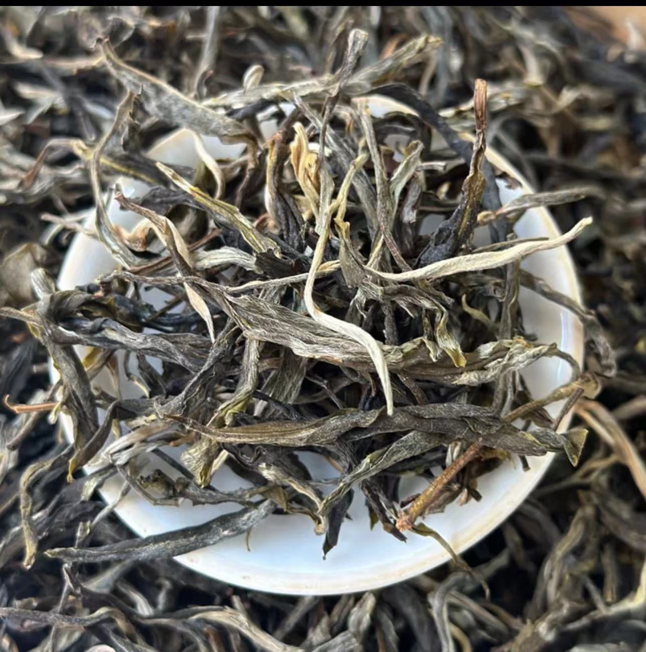 2023年冰岛老寨春茶50g散茶