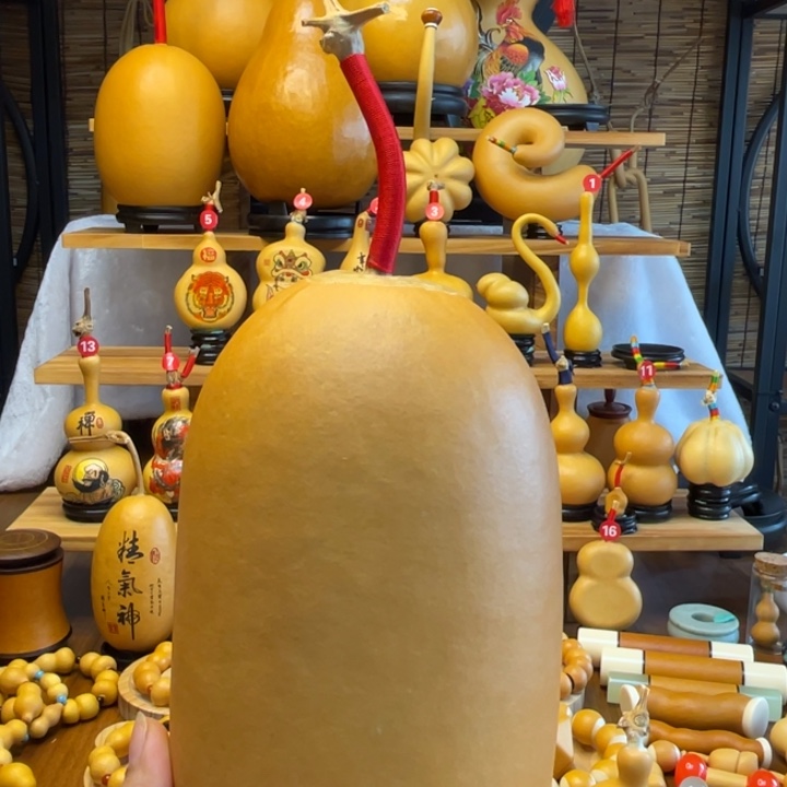 甘****ঞ天然葫芦自然生长