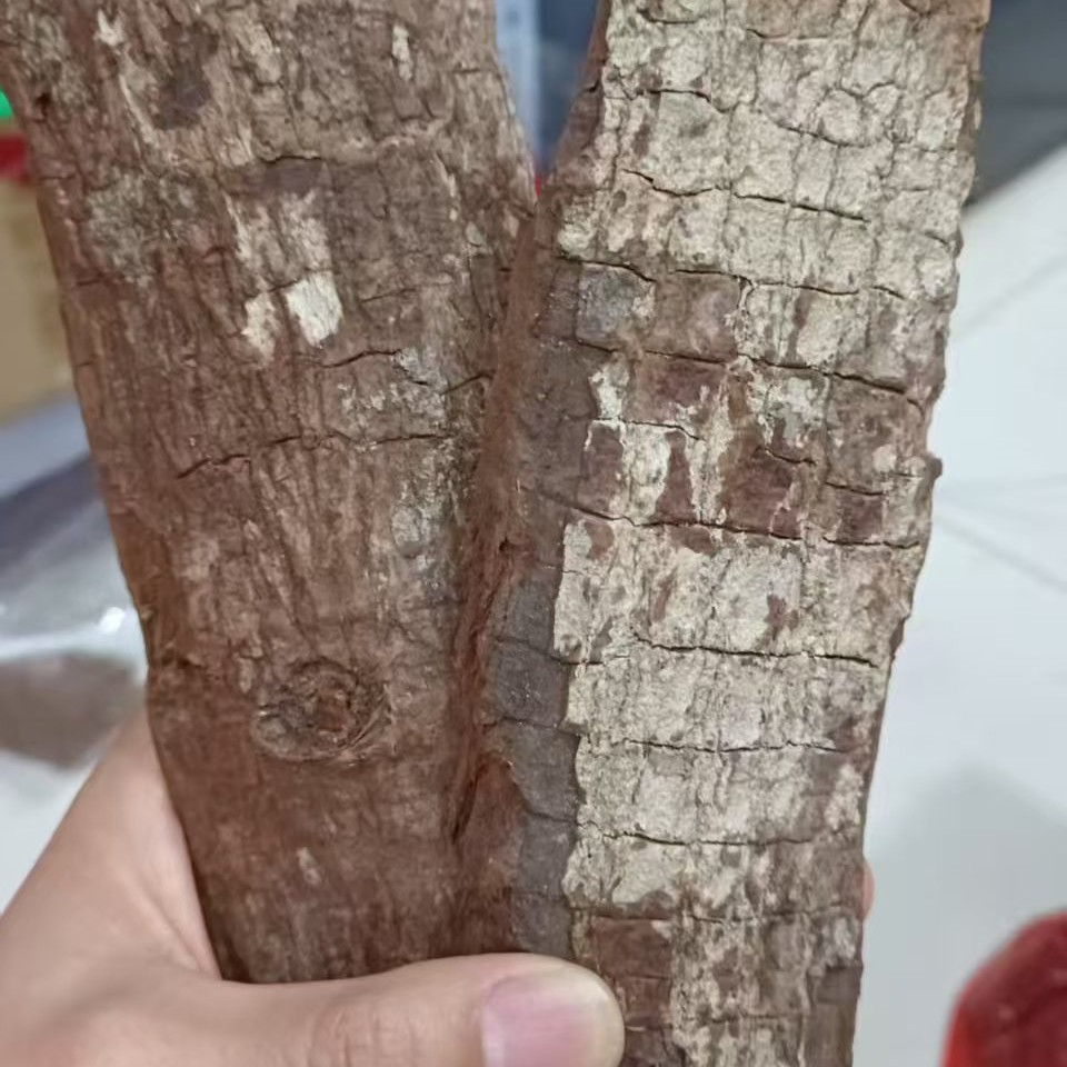 来自非洲（精致树皮）快乐0号 试用 40 克  