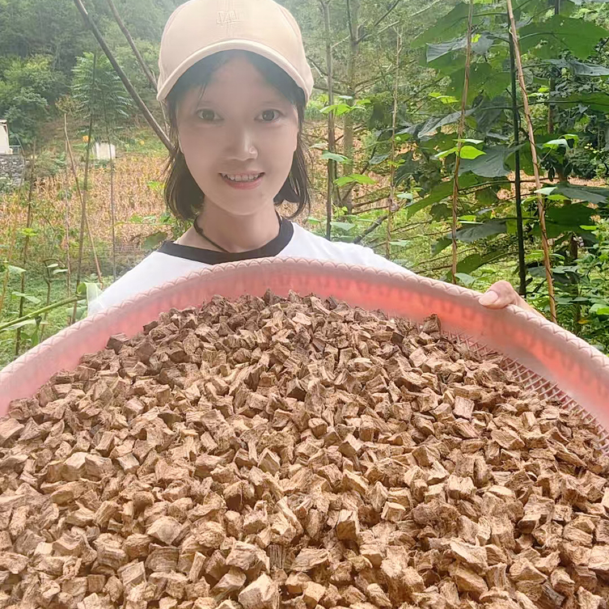秦岭野生柴葛 （泡茶/煲汤）纯天然自然晾晒