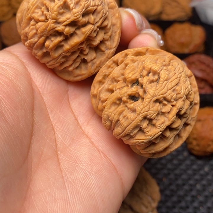 秦岭野生文玩核桃22