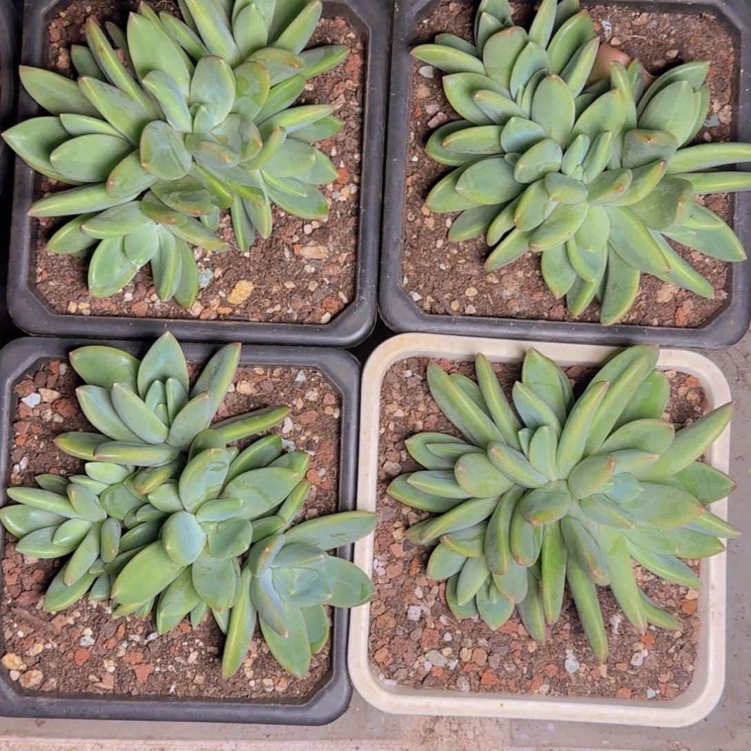 海洋福利1111111111111111