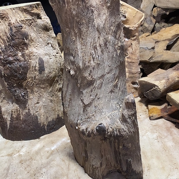 　金丝楠木小叶桢楠木