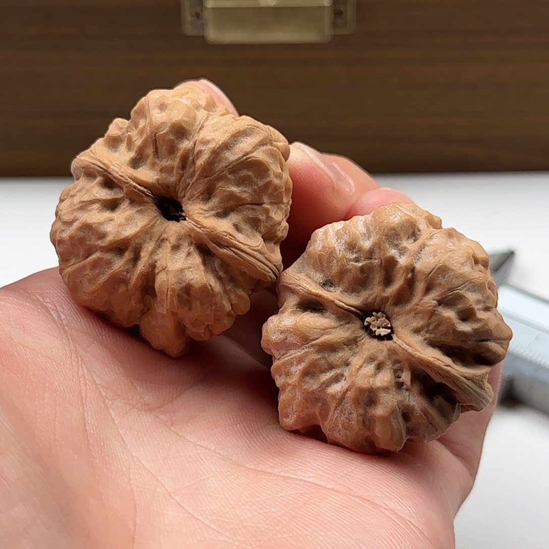 延庆蛤蟆山地果子