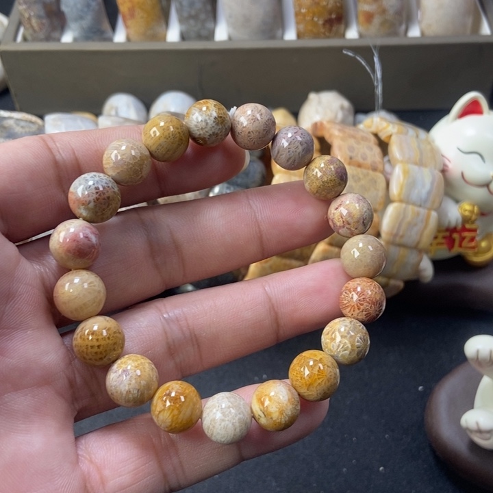 硅化珊瑚（珊瑚玉）手链未镶嵌