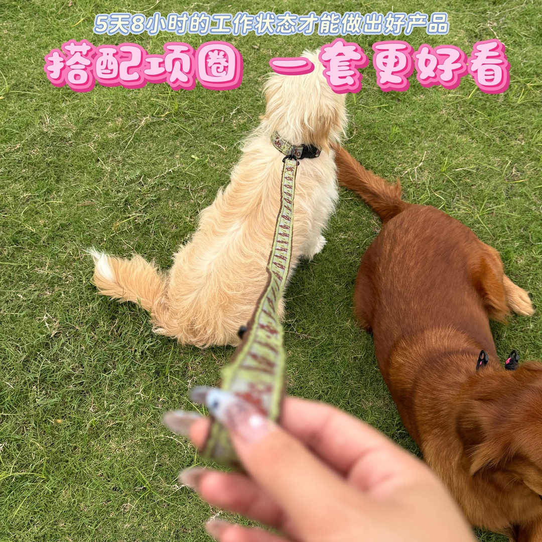 遛狗遛猫牵引绳编织带挂钩搭配主人时装时尚个性纯手工
