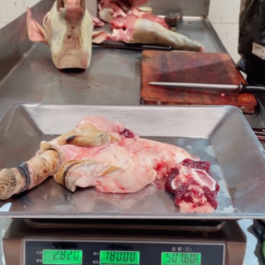 【闪购商品】冷冻保存30天包装河北省