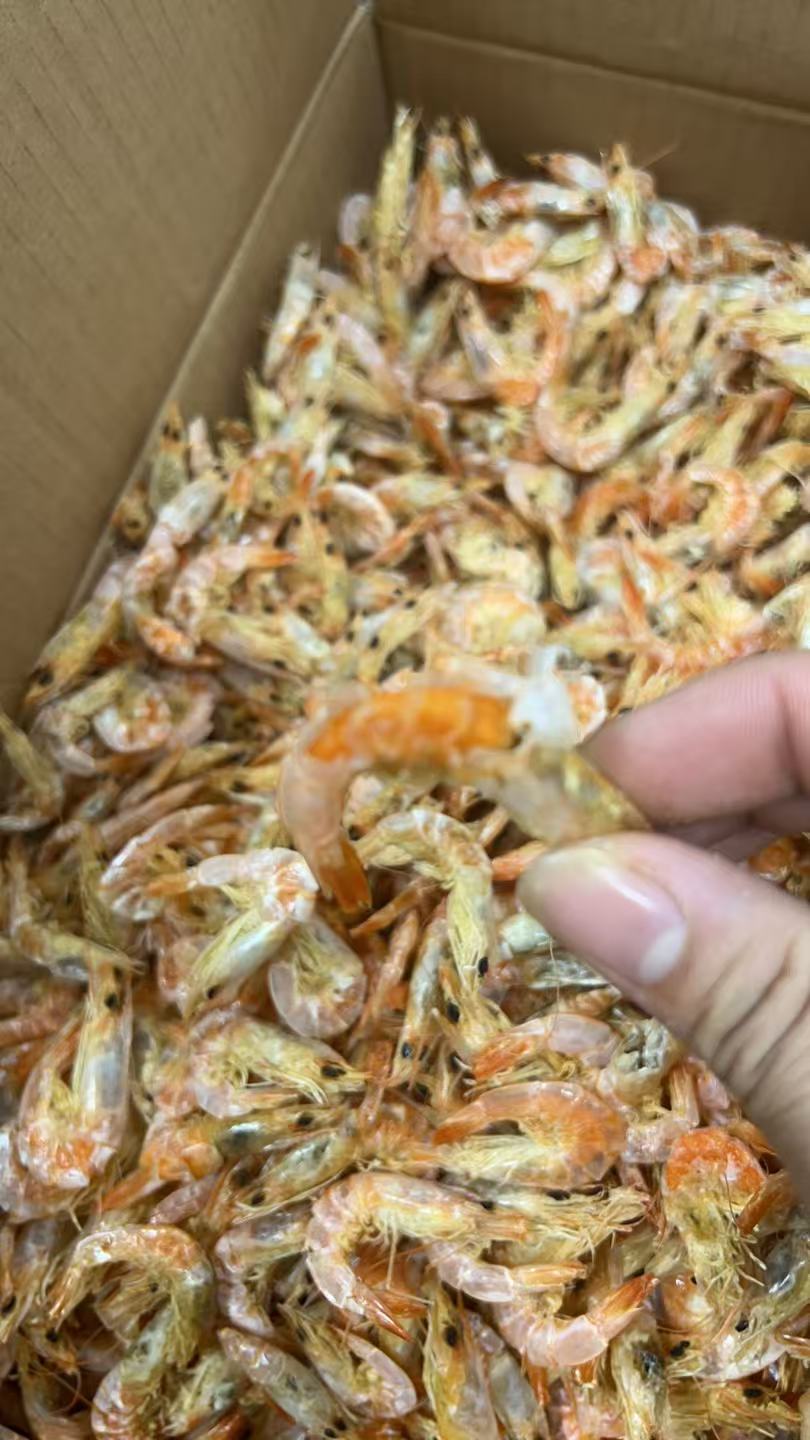 汕尾本港长沙湾碑酒虾足淡足干鲜甜美味