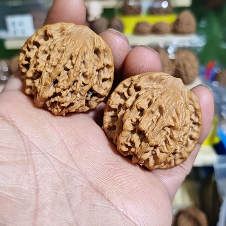 44尺寸，姜黄皮狮虎兽，一般对