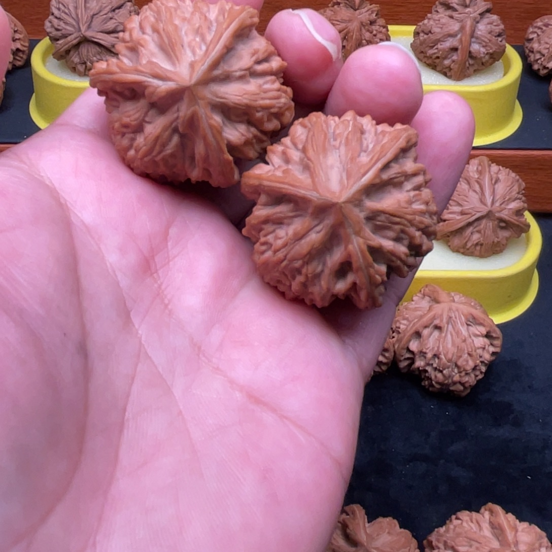 胖***子手串/手链核桃玉龙粗筋全品