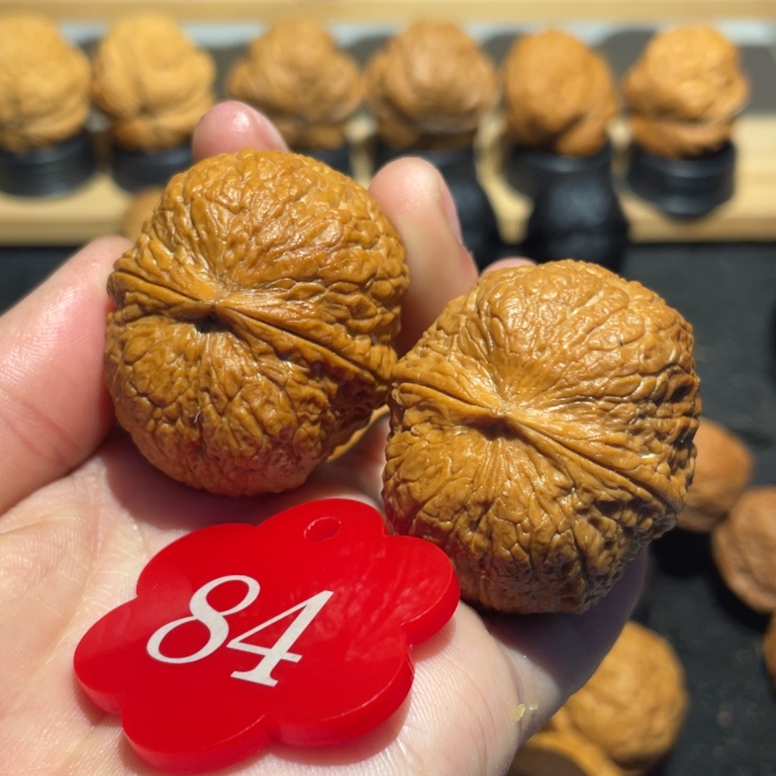 金丝绣球微彩38（主播自留款）