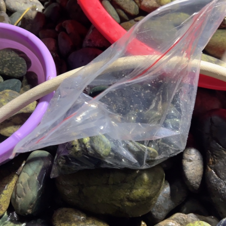 云***一蛇纹石玉未镶嵌西藏藏玉药王石