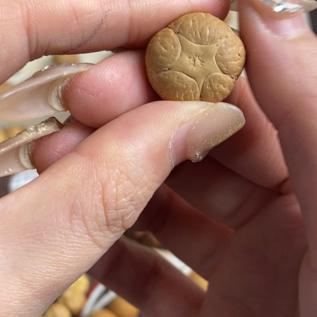 凤眼菩提吊坠五星上将18.8