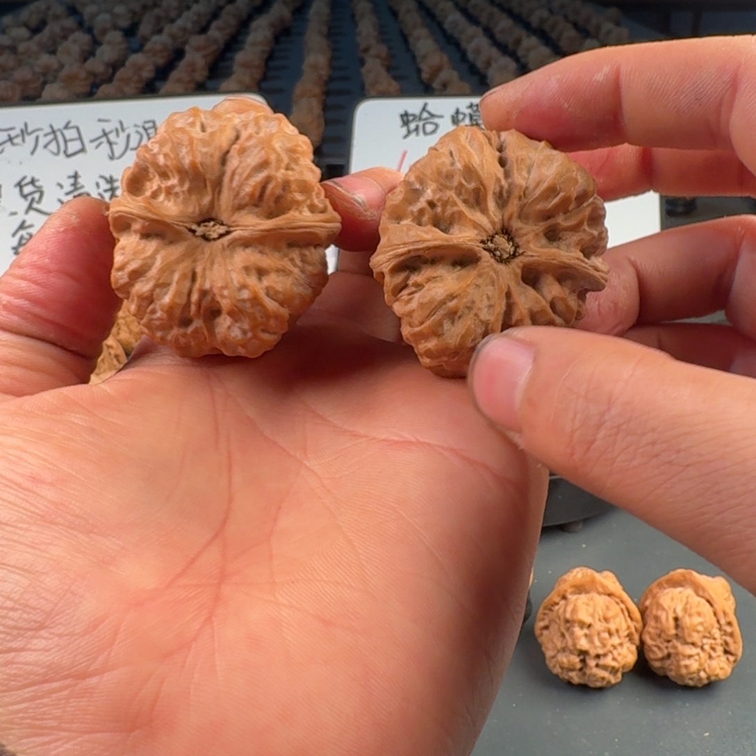 7***.吊坠文玩核桃蛤蟆的眼睛是真的好看啊