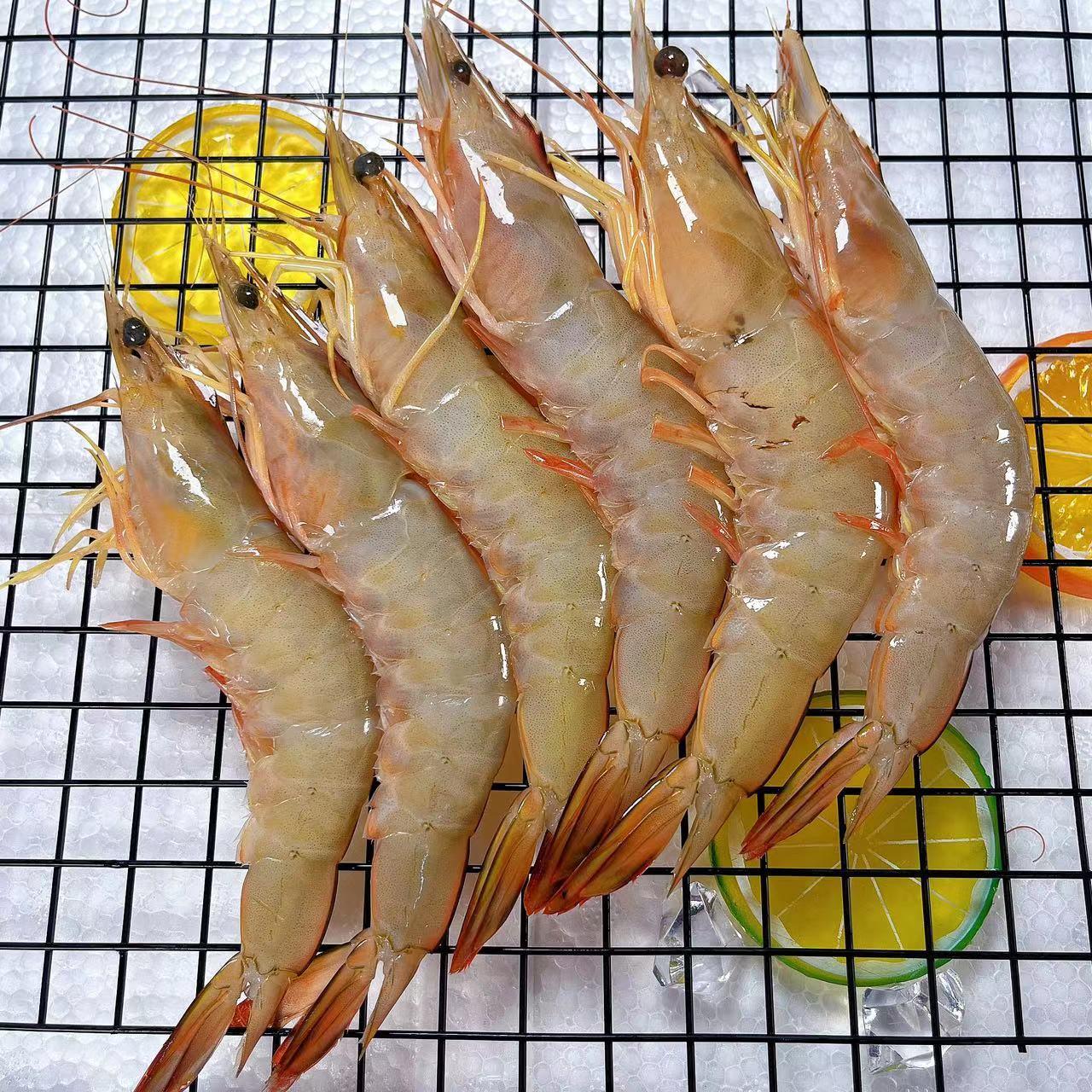 海捕白刺虾 野生明虾 极速锁鲜发货 全国顺丰冷链包邮 13-15条/斤