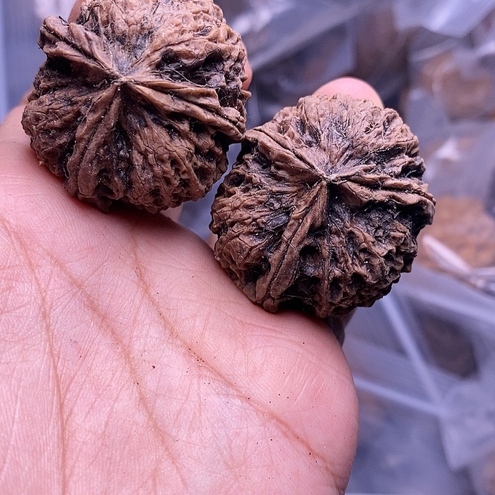 把件文玩核桃  100