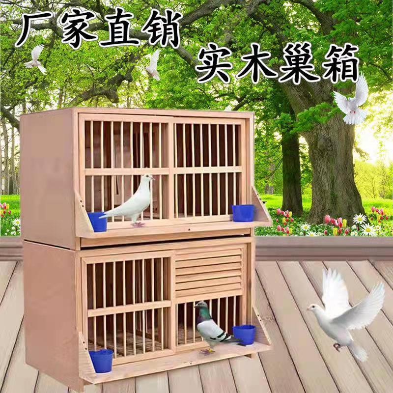 鸽具巢箱鸽子配对笼赛鸽巢箱信鸽配对笼松实木质制组合巢窝