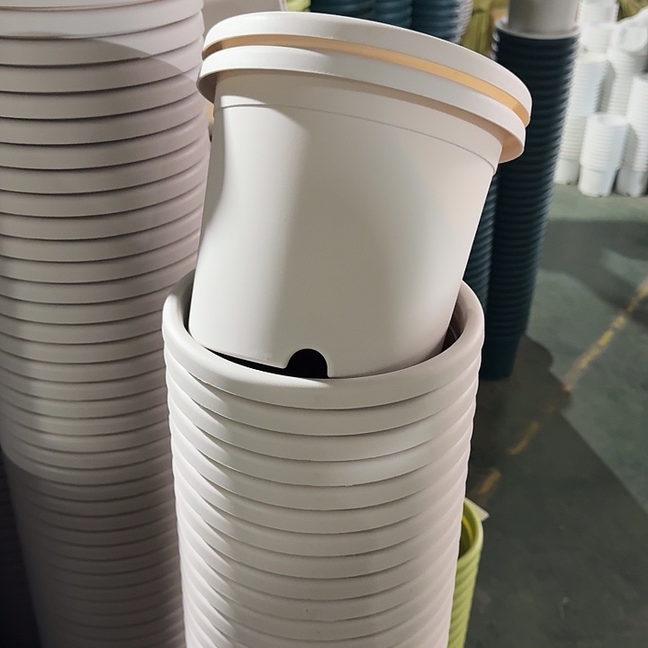 四季3#口径21灰白10个无托