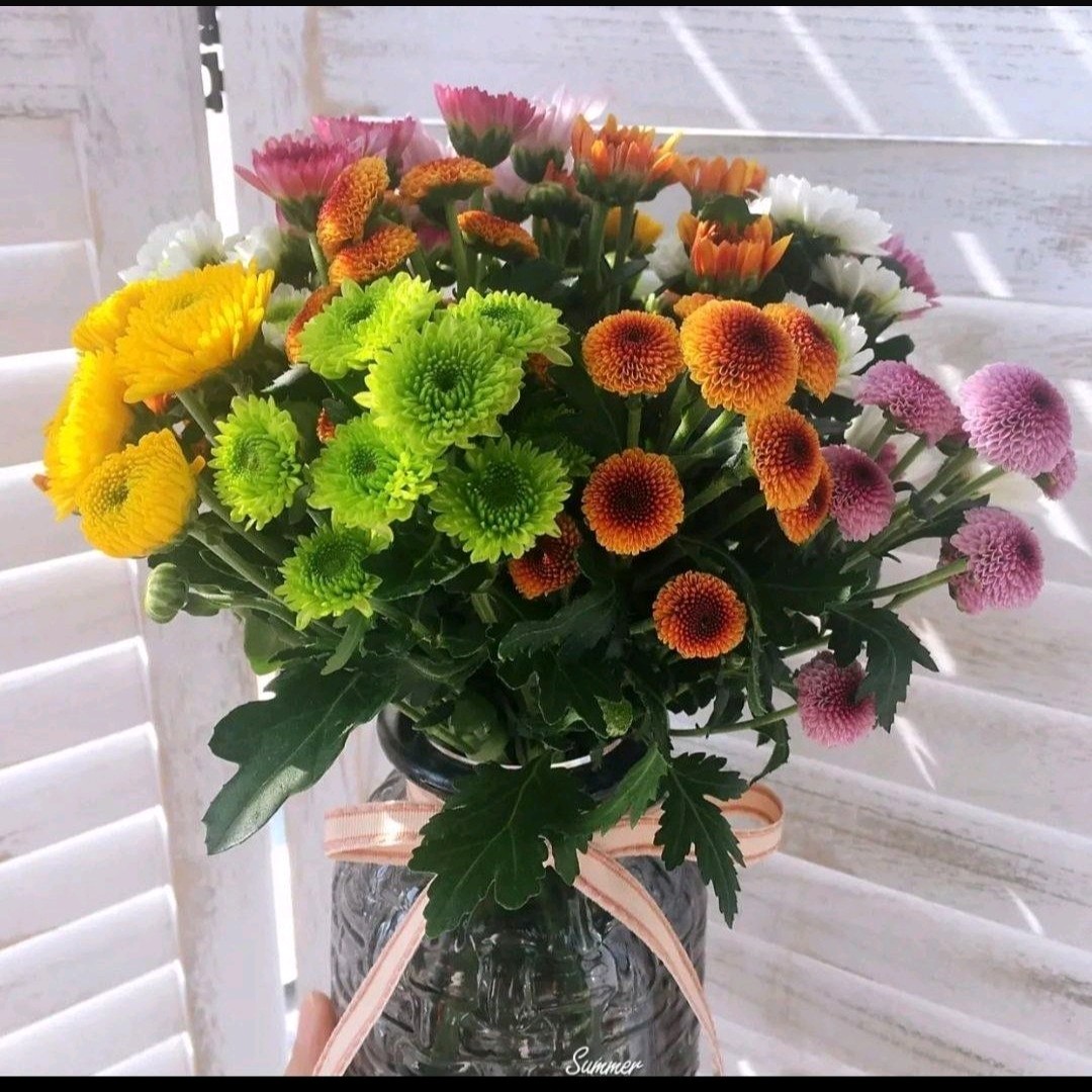 颜色随机［满39起送］单支小雏菊同城配送