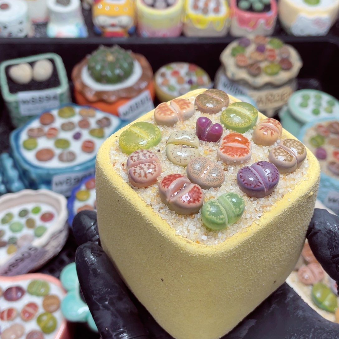 w8914--零下地区拍保温箱，-15度支持寄养